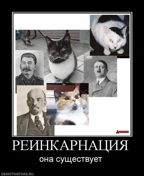 attachment.webp