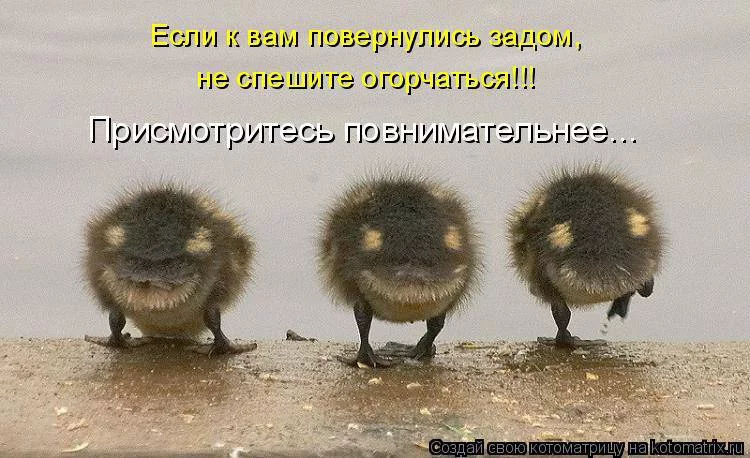 attachment.webp