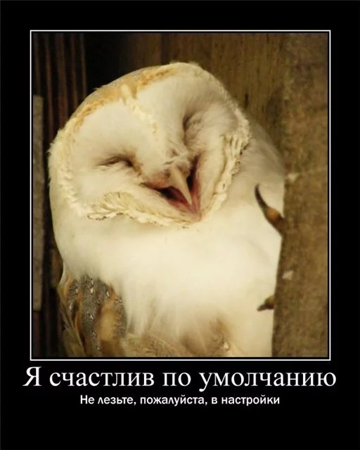 attachment.webp