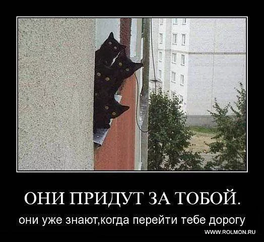attachment.webp