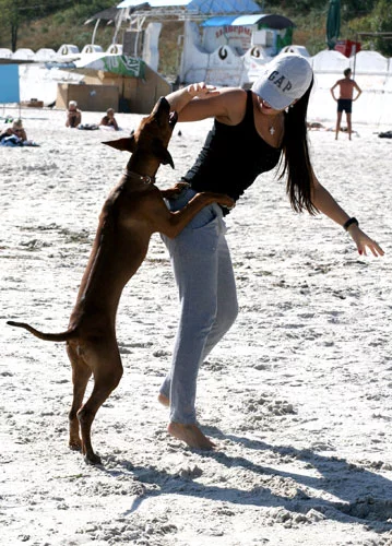 attachment.webp