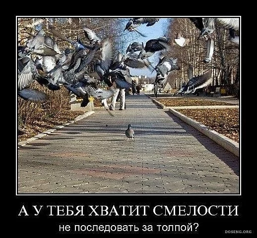 attachment.webp