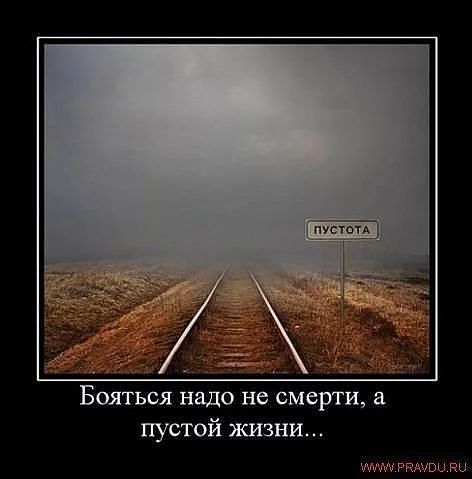 attachment.webp