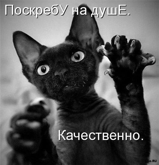 attachment.webp
