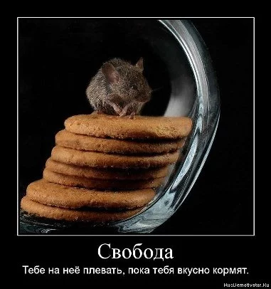attachment.webp