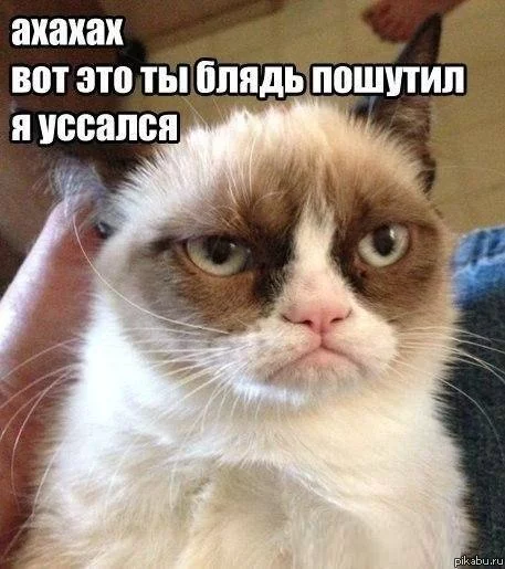 attachment.webp