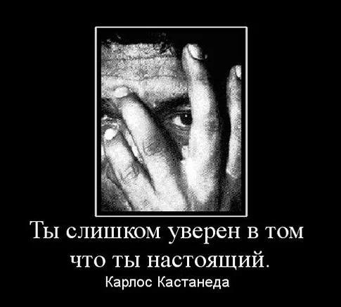 attachment.webp