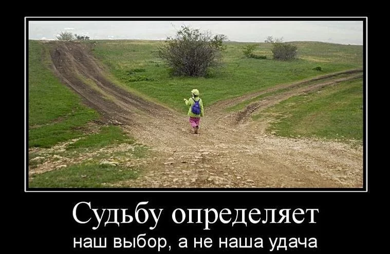 attachment.webp