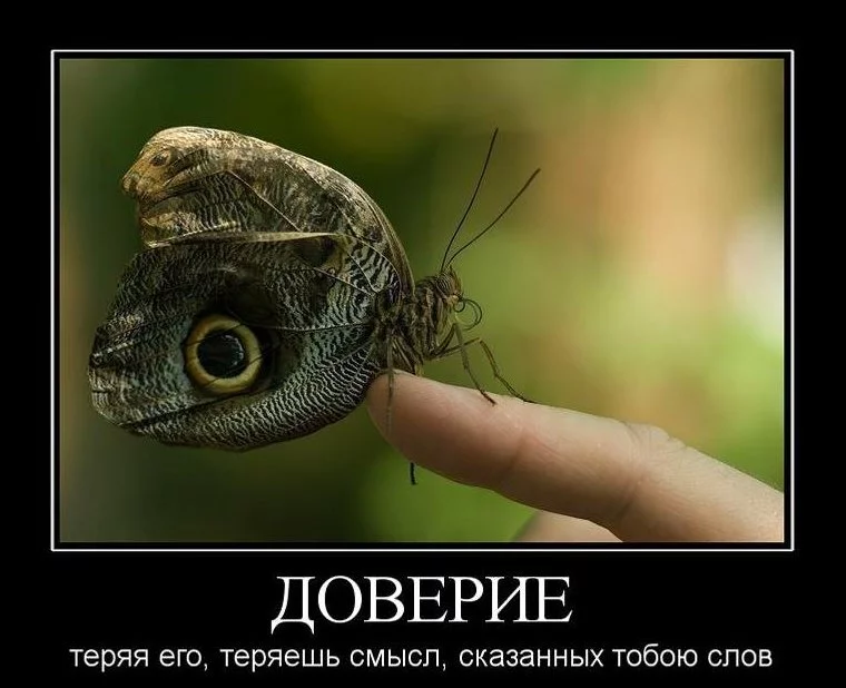 attachment.webp