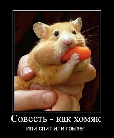 attachment.webp