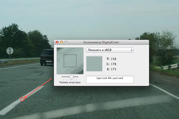 attachment.webp