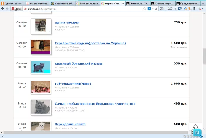 attachment.webp