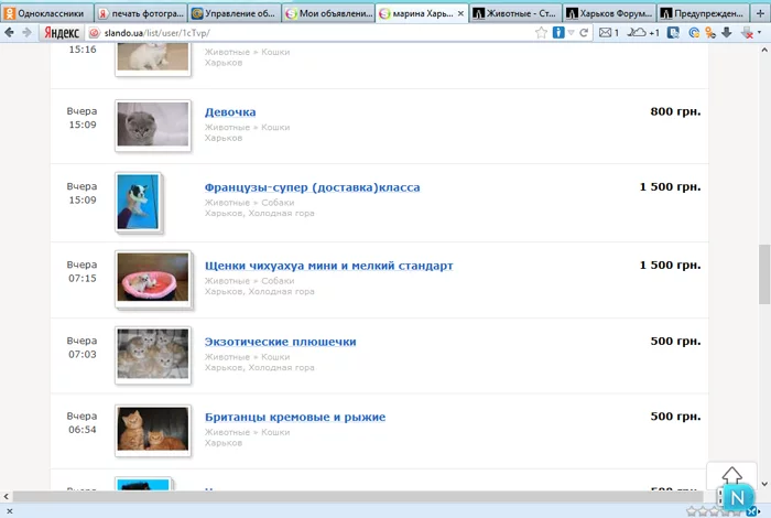 attachment.webp