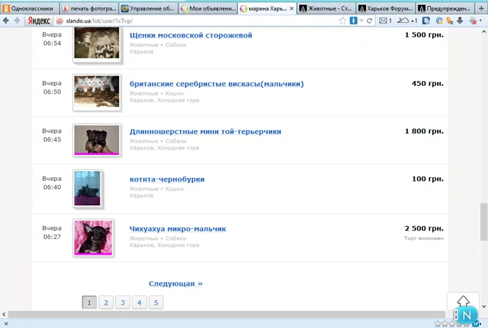 attachment.webp