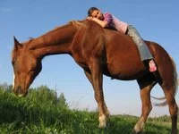 attachment.webp