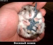 attachment.webp