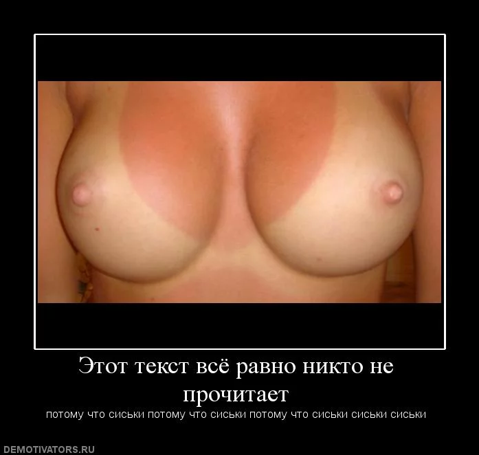 attachment.webp