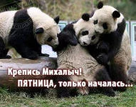 attachment.webp
