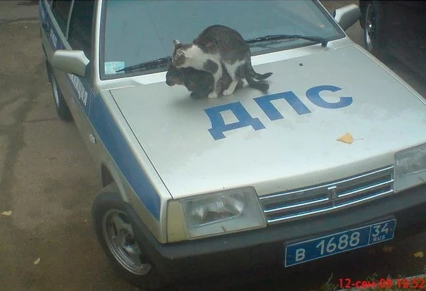 attachment.webp