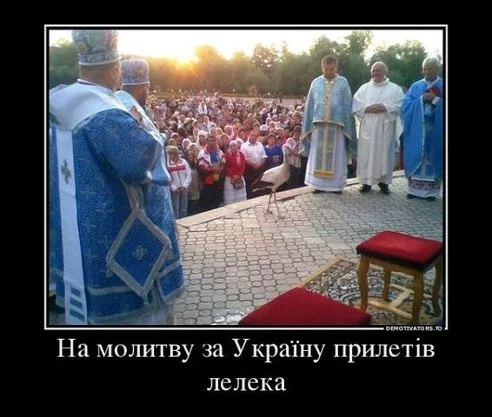 attachment.webp
