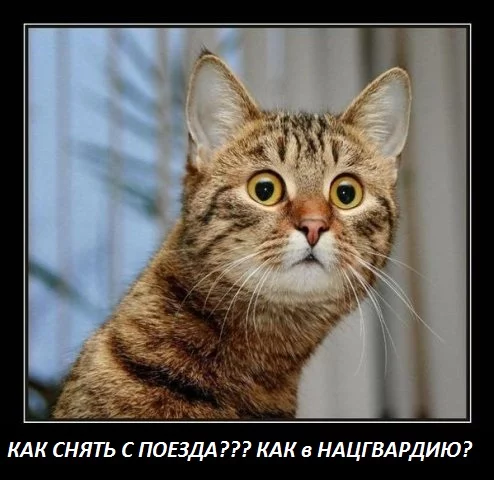 attachment.webp