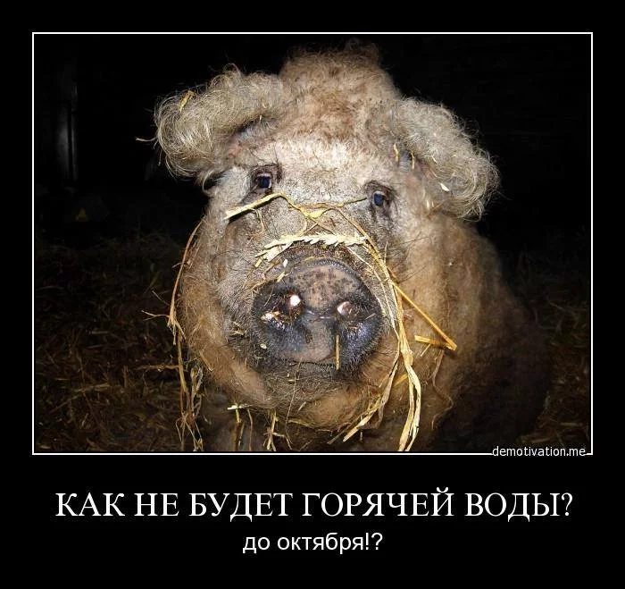 attachment.webp