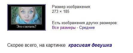 attachment.webp