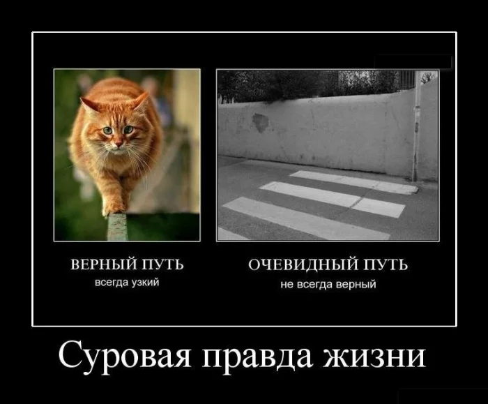 attachment.webp