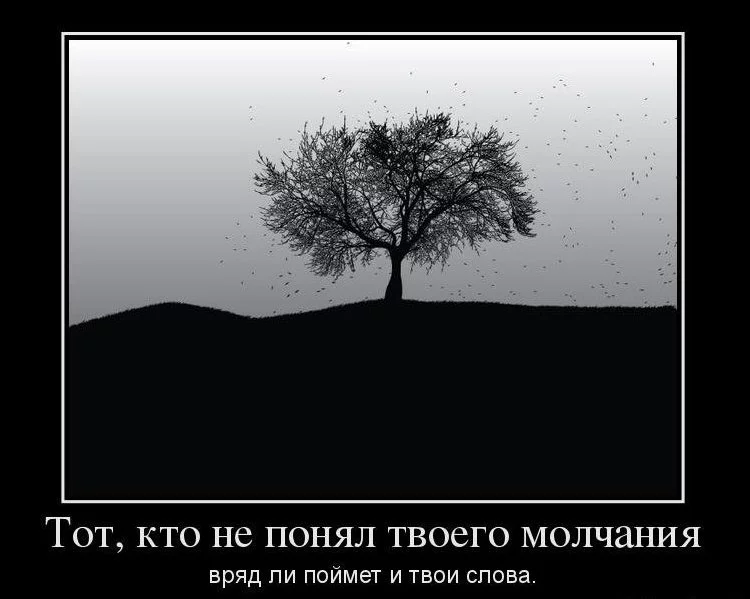 attachment.webp