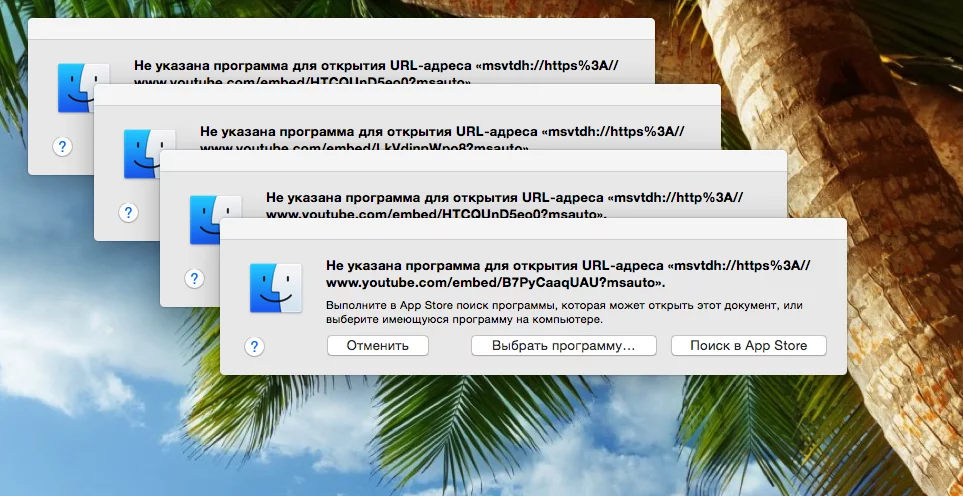attachment.webp