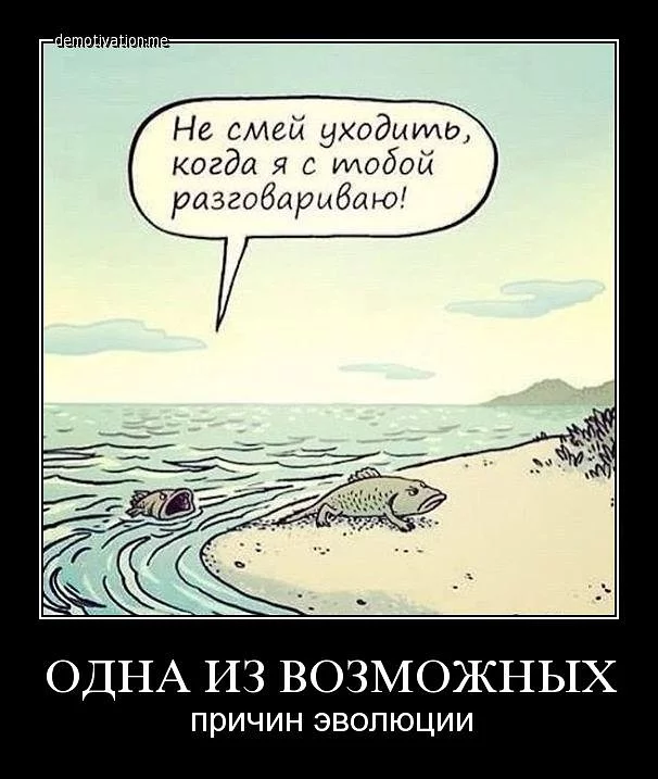attachment.webp