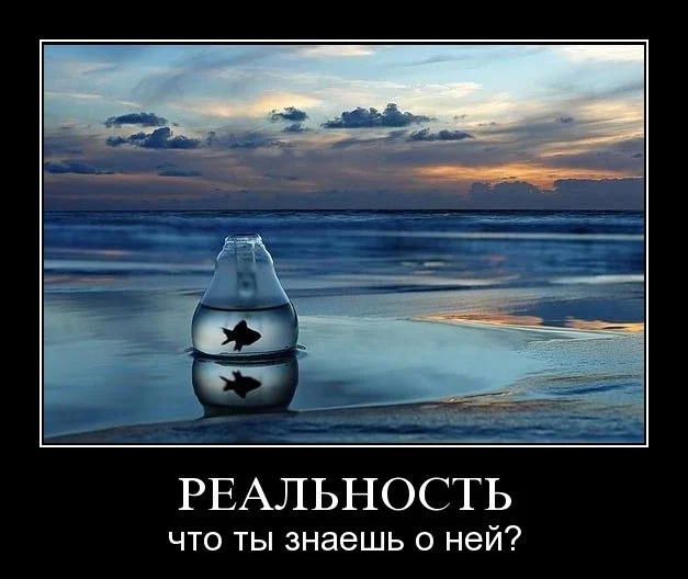 attachment.webp