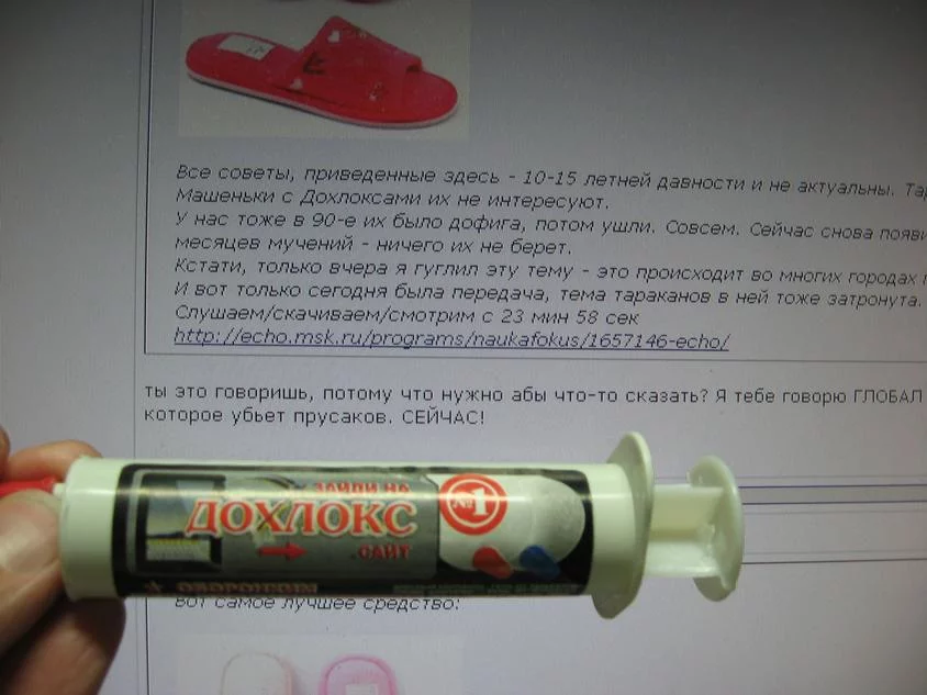 attachment.webp