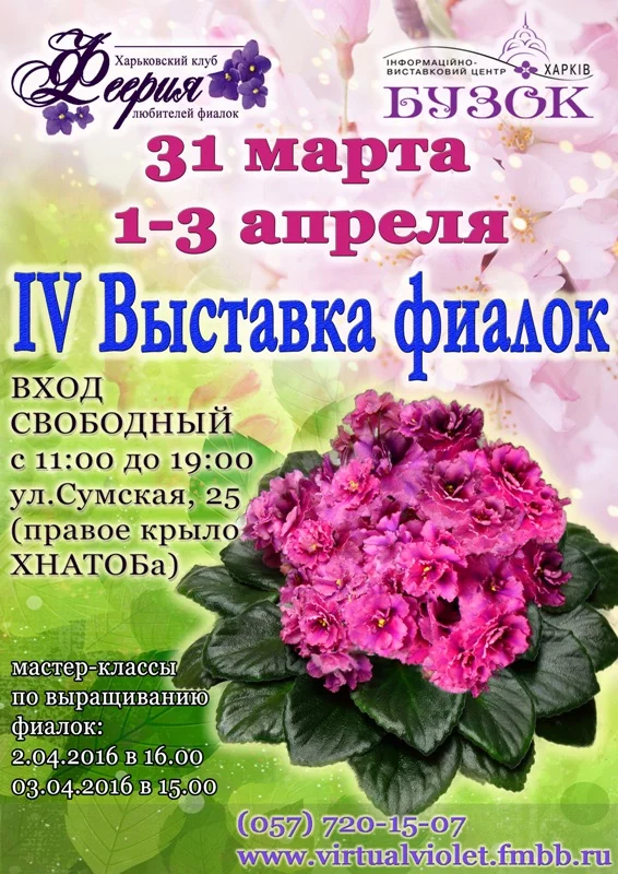 attachment.webp