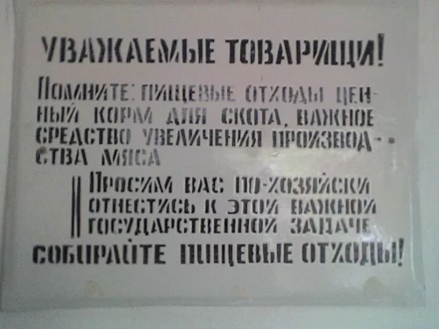 attachment.webp