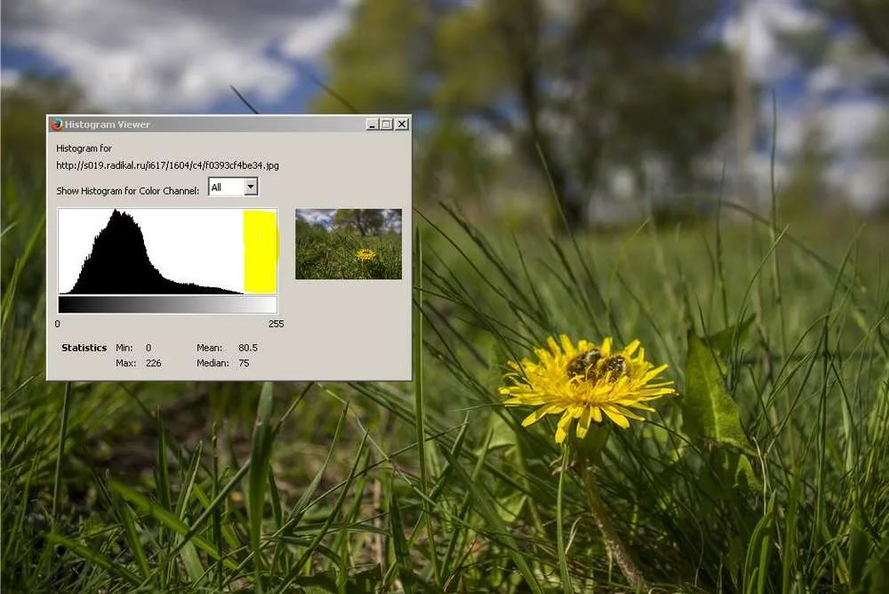 attachment.webp