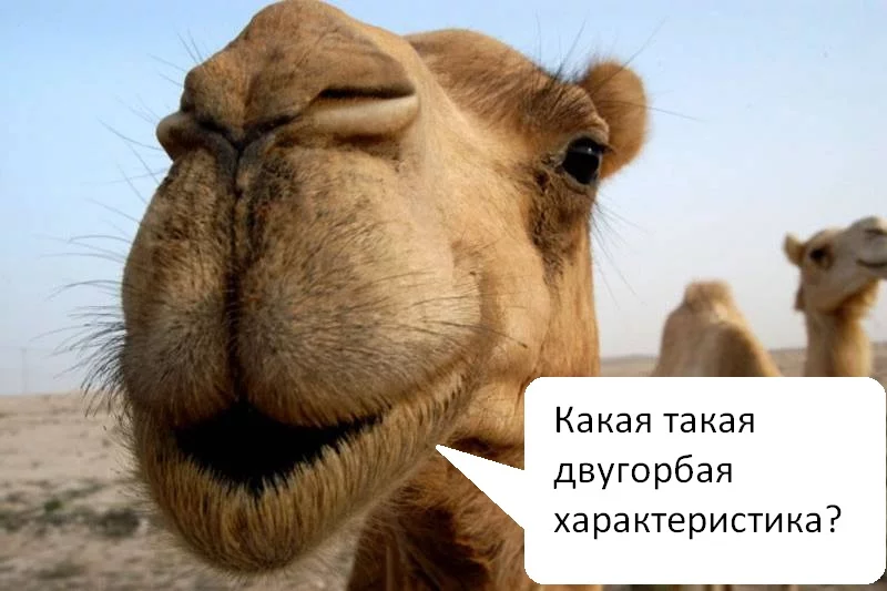 attachment.webp