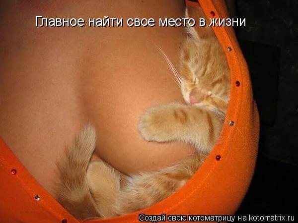 attachment.webp