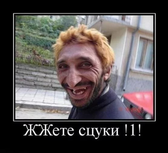 attachment.webp