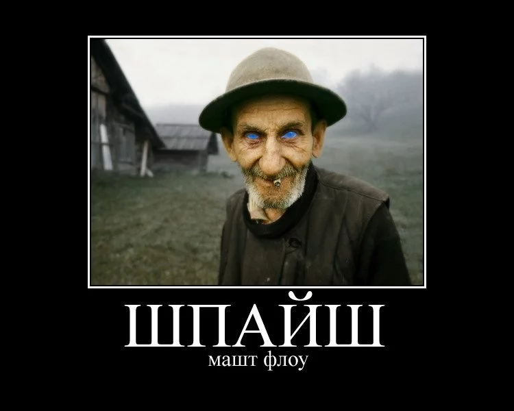 attachment.webp