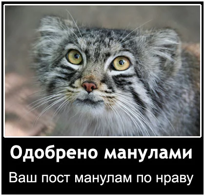 attachment.webp