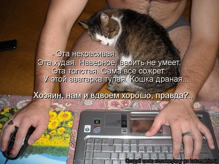 attachment.webp