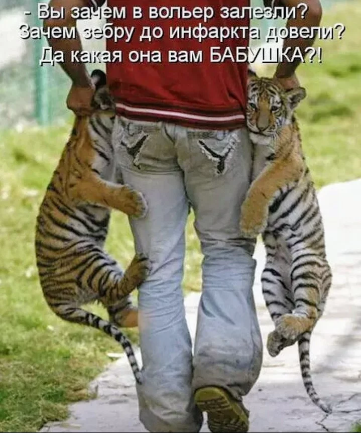 attachment.webp