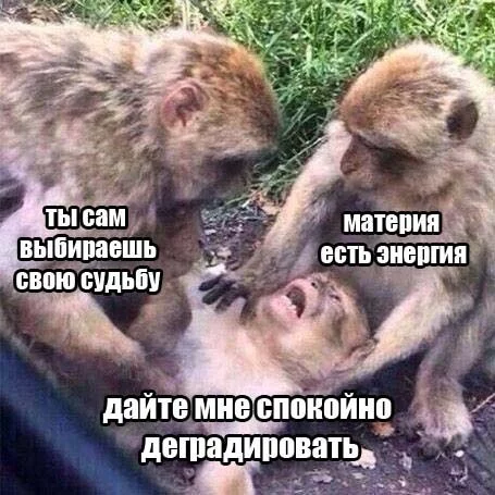 attachment.webp