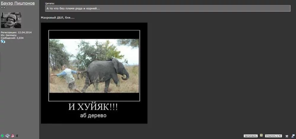 attachment.webp