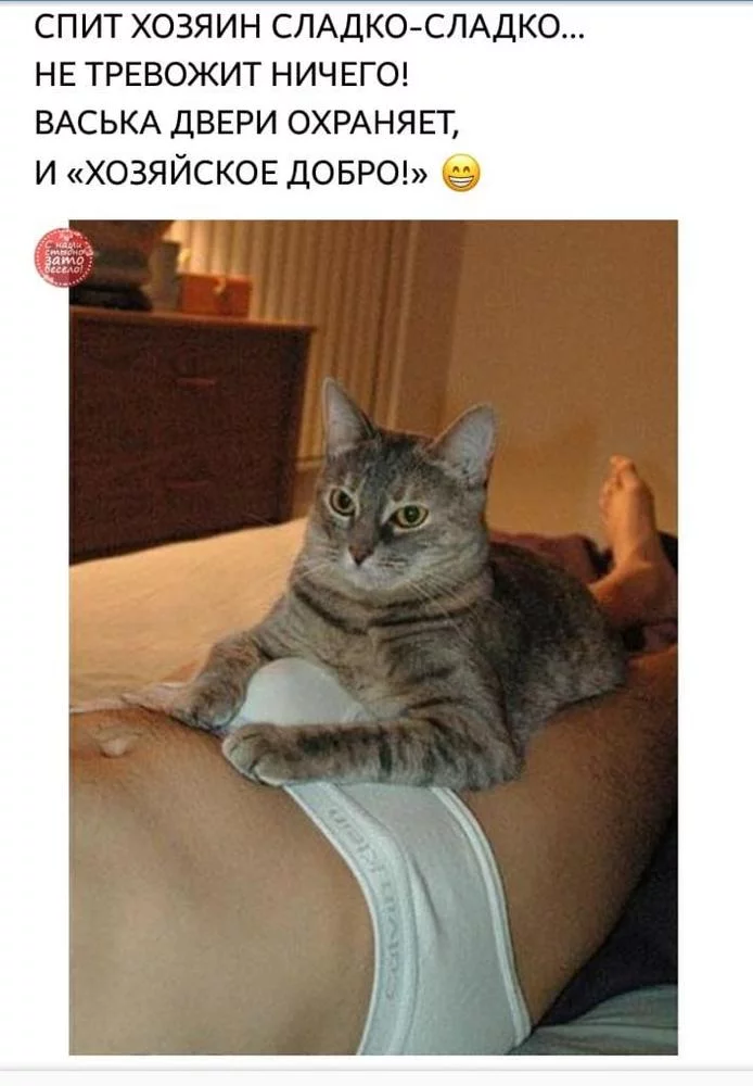 attachment.webp