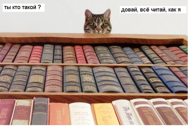 attachment.webp