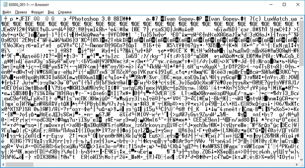 attachment.webp