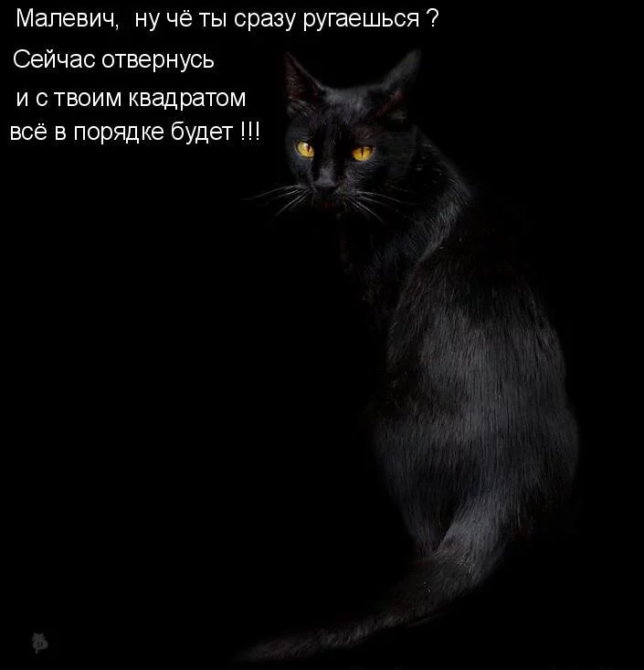 attachment.webp