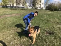 attachment.webp